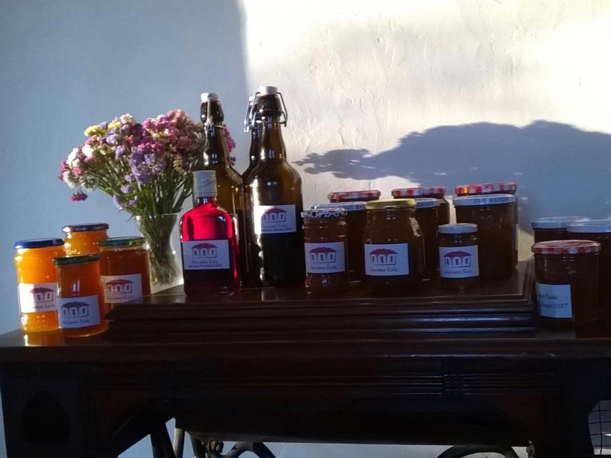 安森尼奥克酒店 Cazaux-Villecomtal 外观 照片